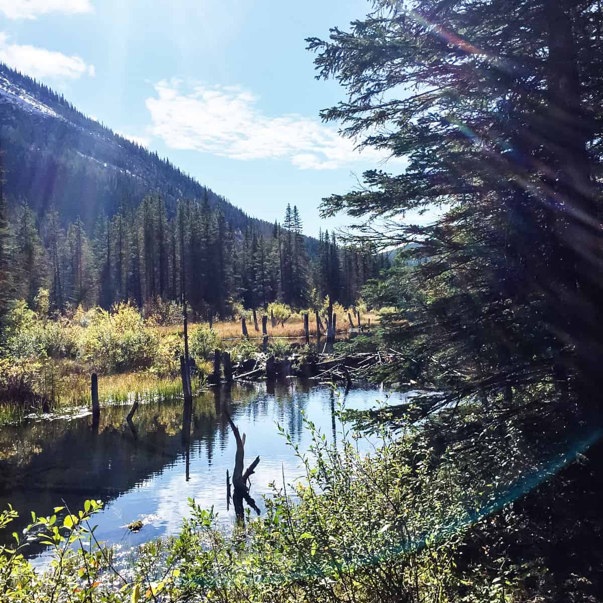 Beaver Flat Trail, Kananaskis