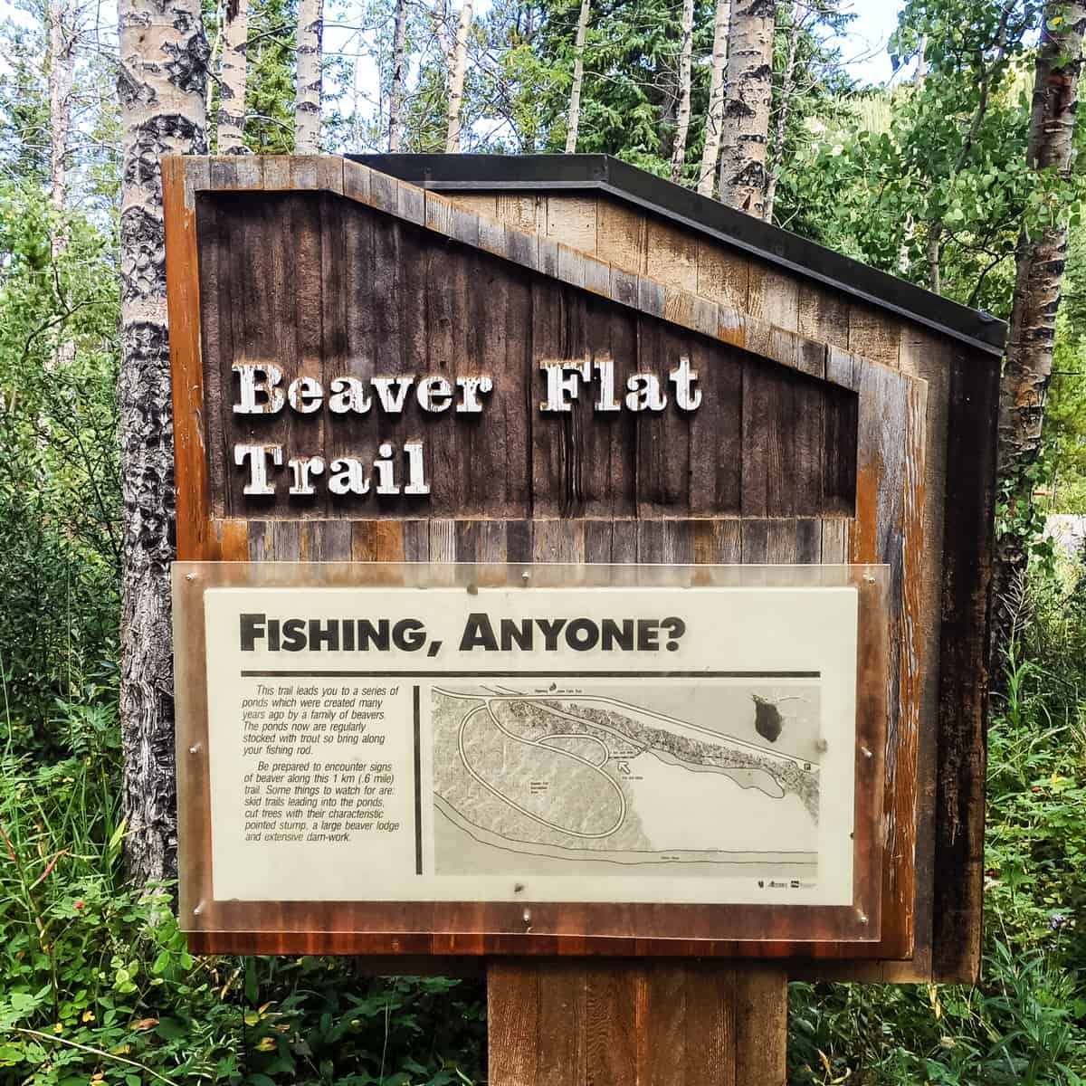 Beaver Flat Trail, Kananaskis