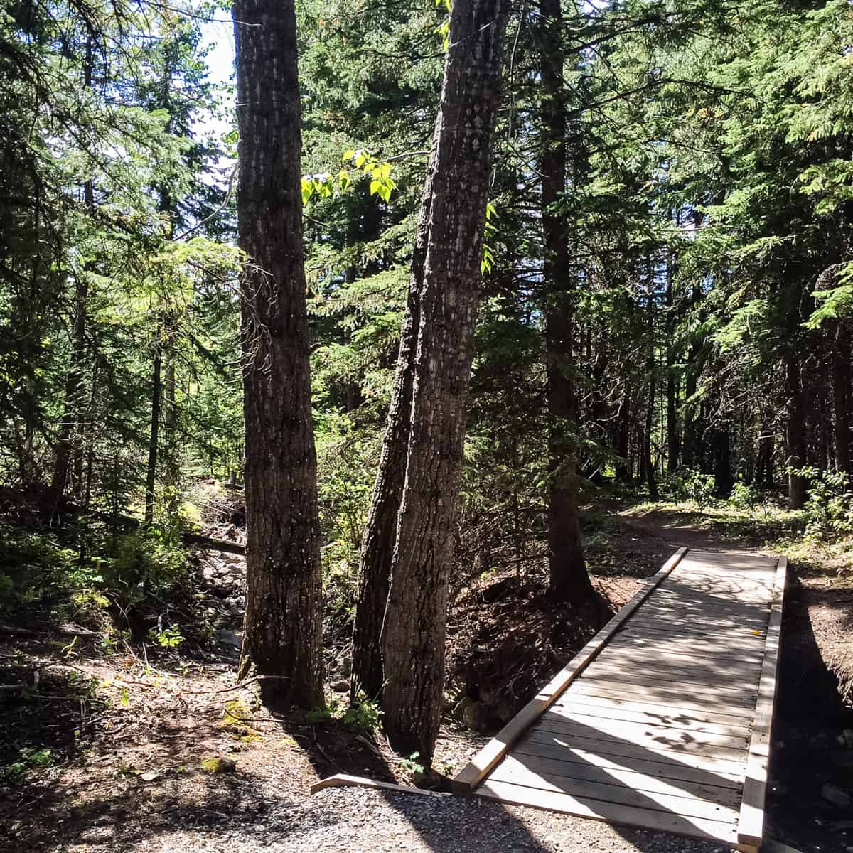 Beaver Flat Trail, Kananaskis