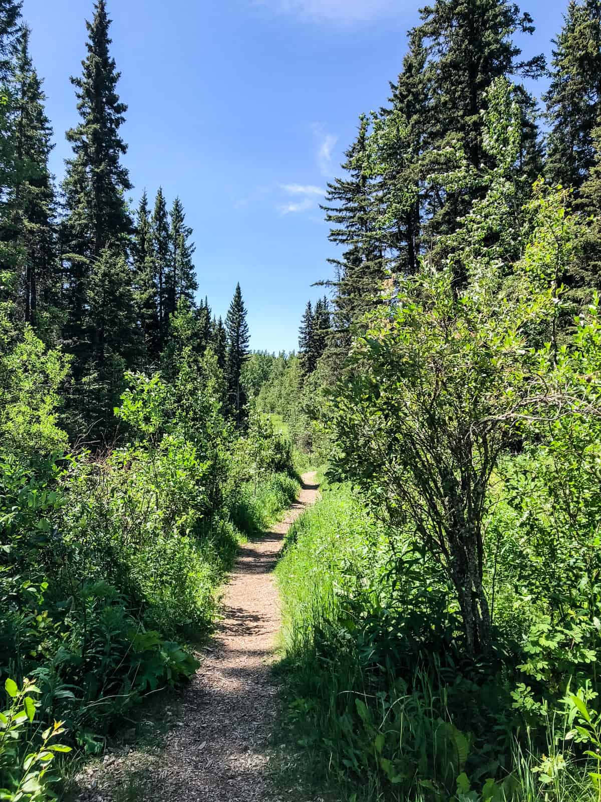 Brown-Lowery Provincial Park