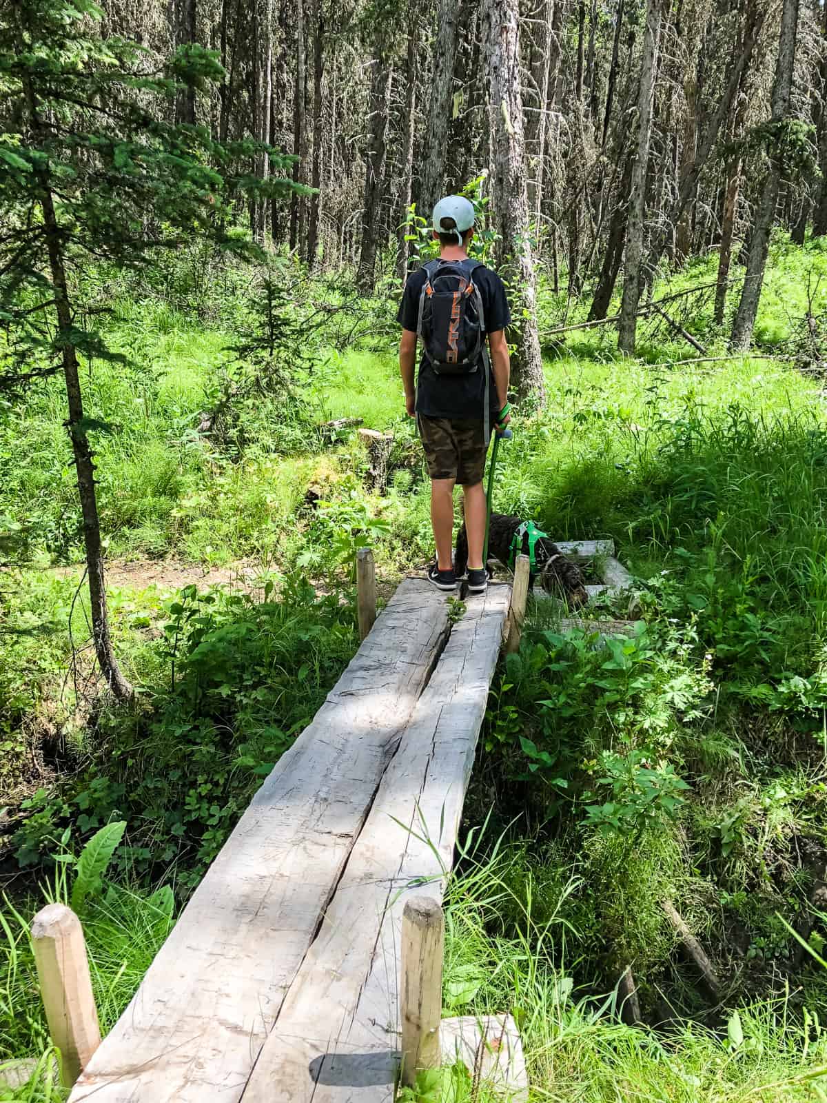 Brown-Lowery Provincial Park