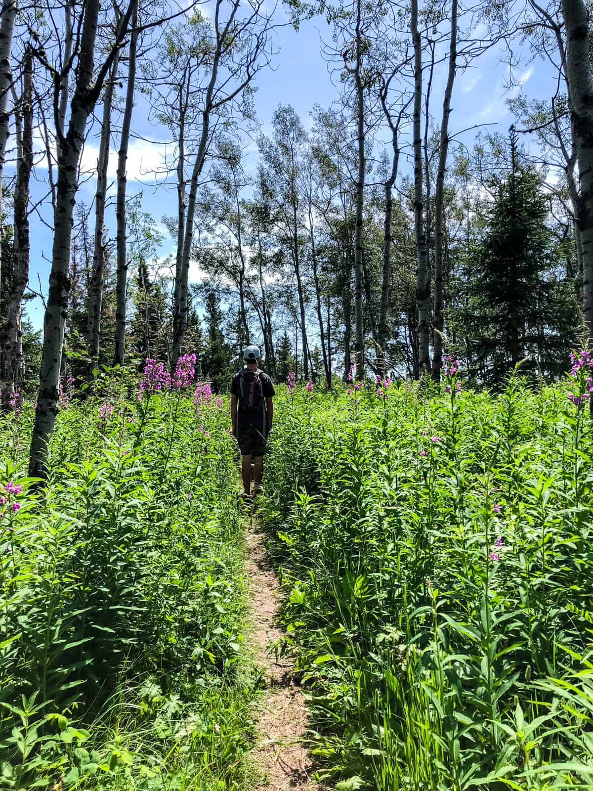 Brown-Lowery Provincial Park