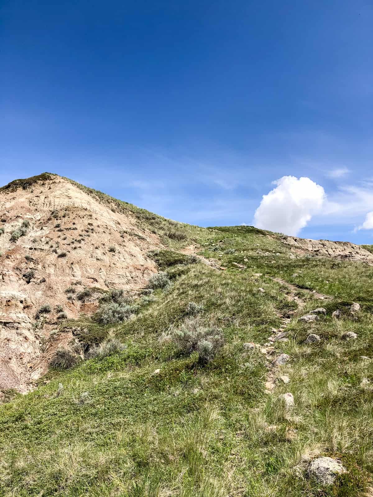 Horse Thief Canyon