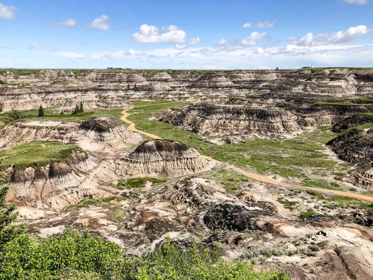 a view down into Horseshoe Canyon (along the Dinosaur Trail)