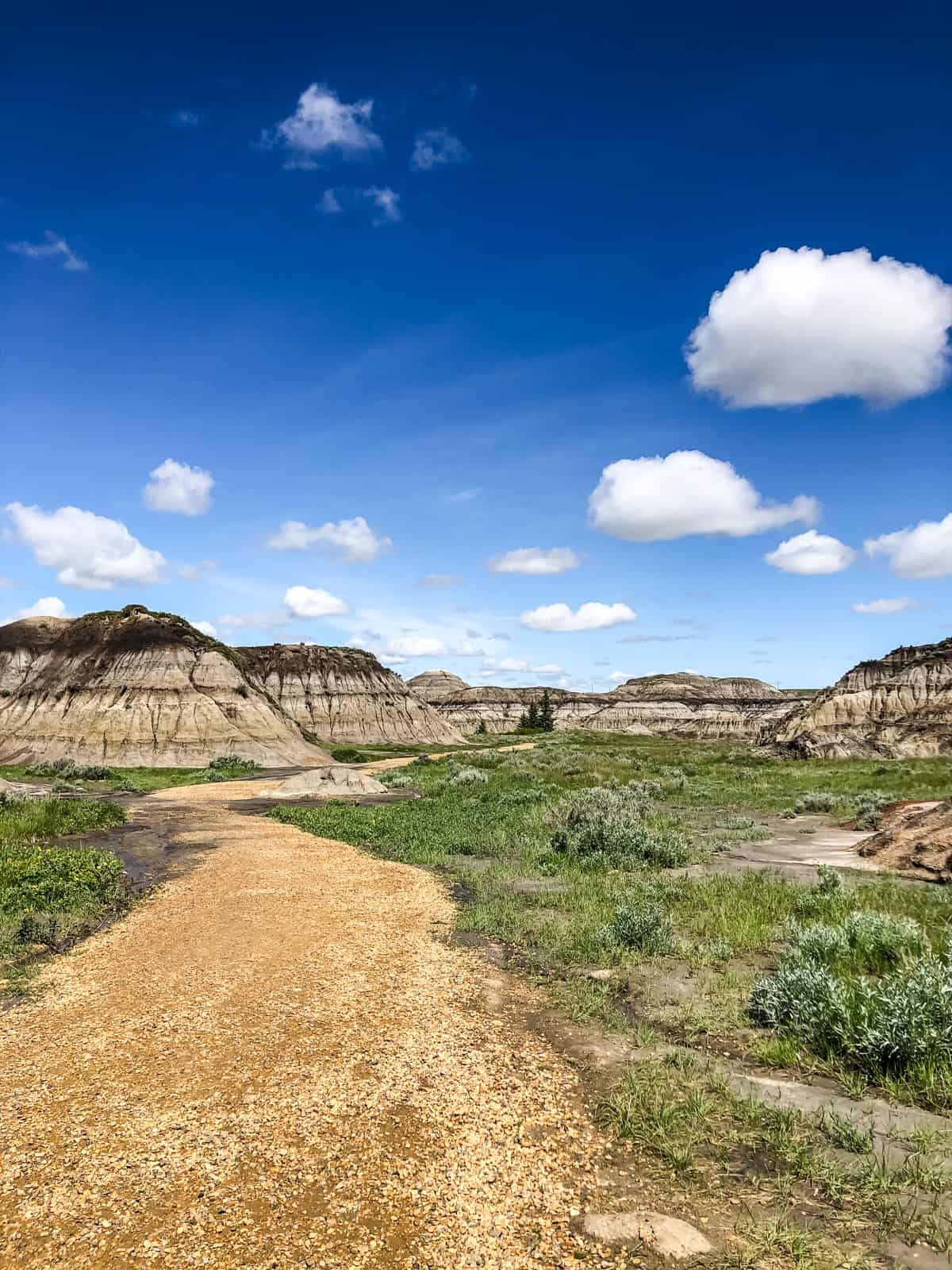 Horseshoe Canyon