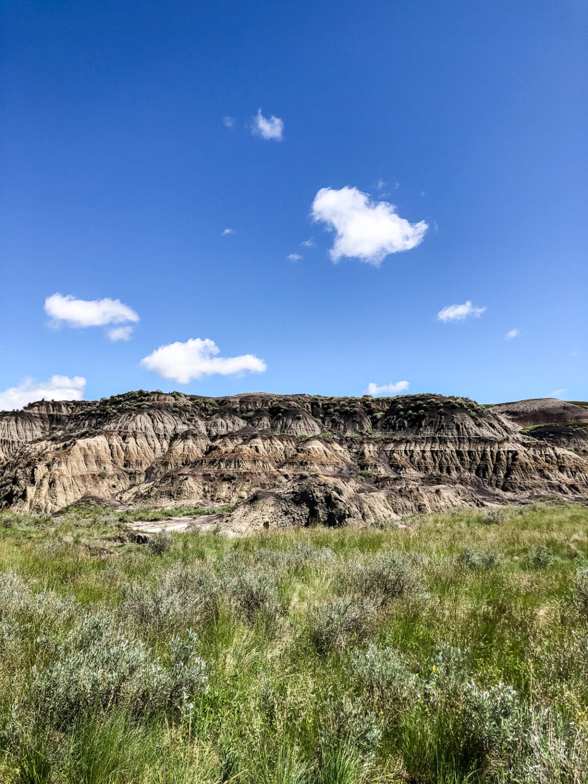 Hike Horseshoe Canyon This Big Adventure