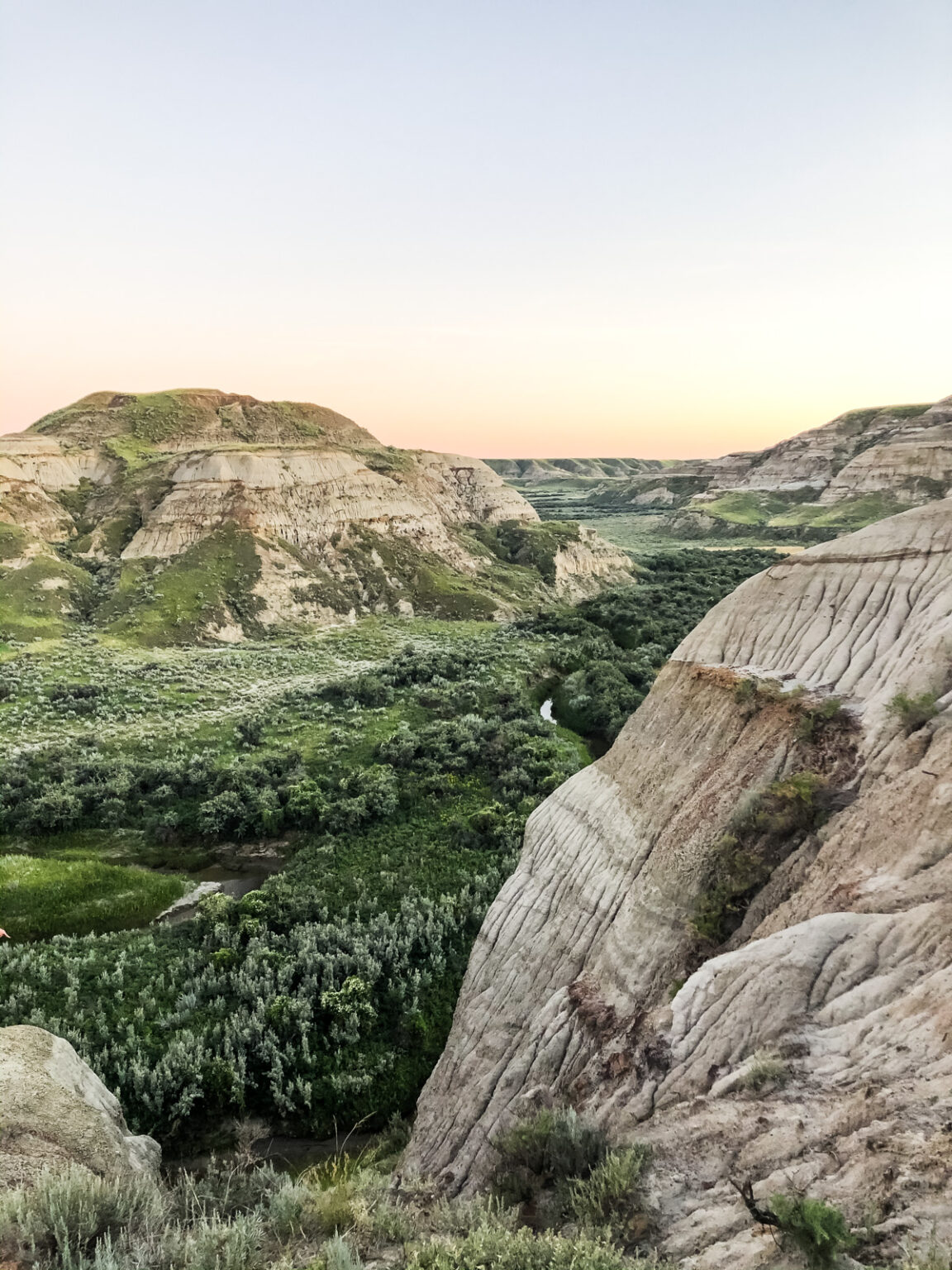 things to do in dinosaur provincial park