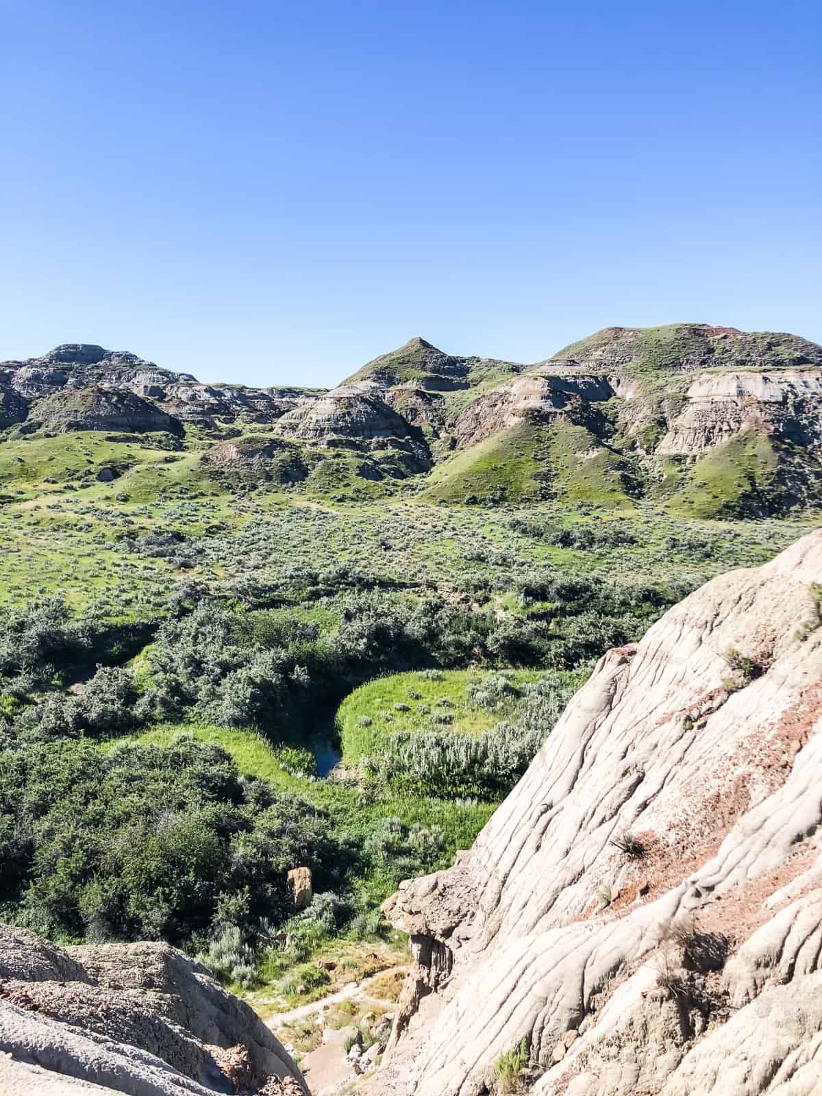 View of hoodoos and lush green river bed