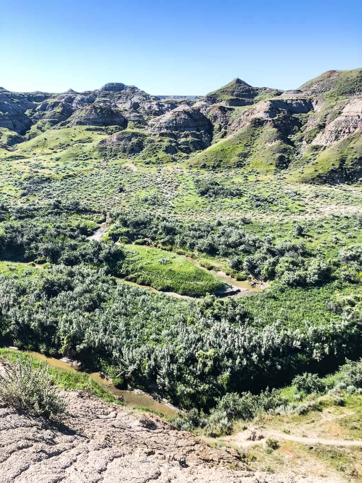 A view of lush green river valley among hoodoos