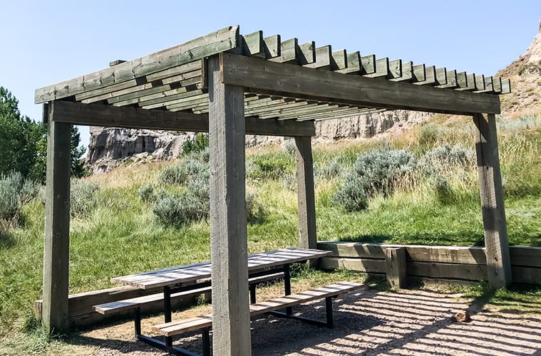 Camp: Dinosaur Provincial Park