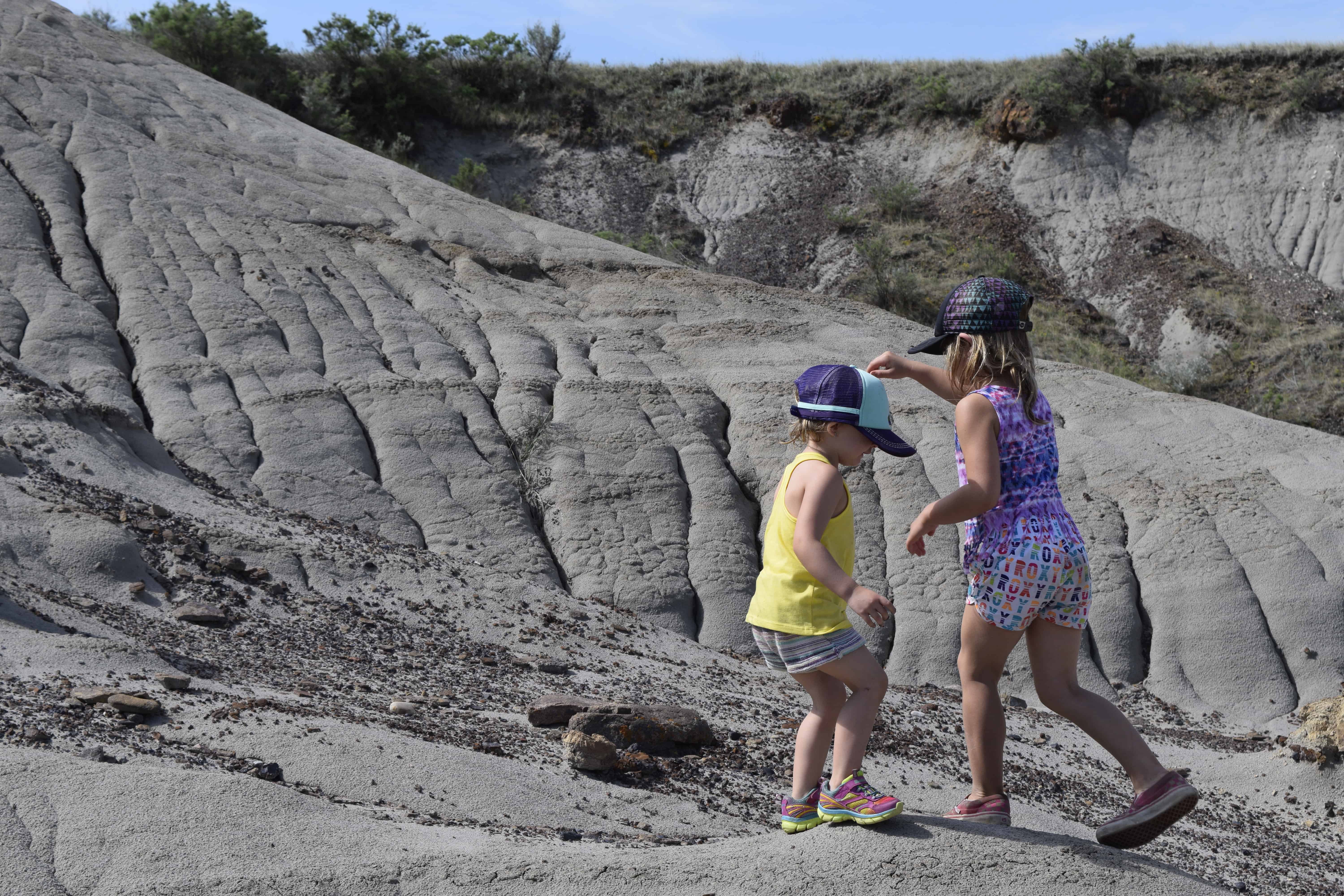 Dinosaur Provincial Park Tours