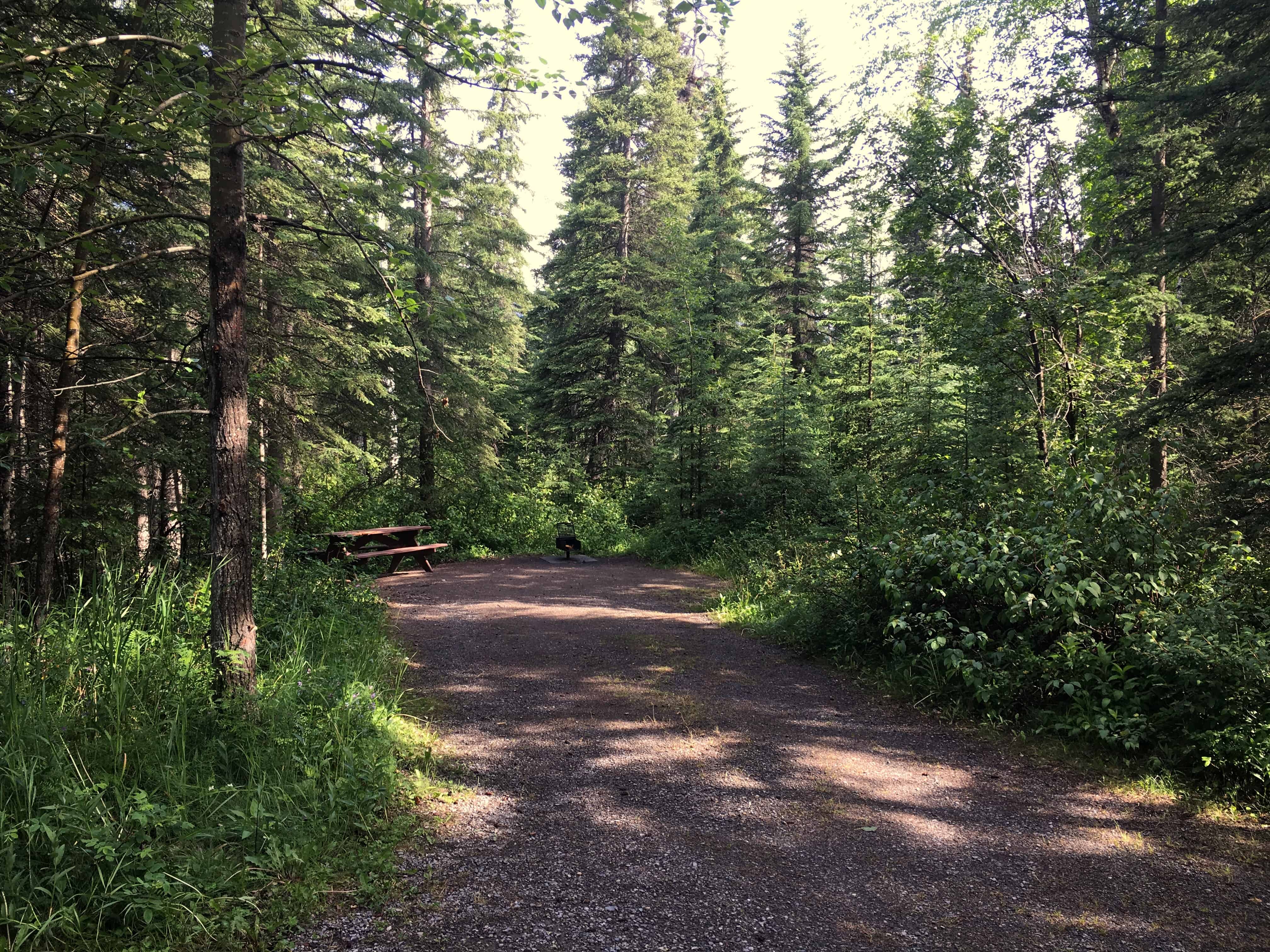 Camp: Pocahontas Campground, Jasper National Park