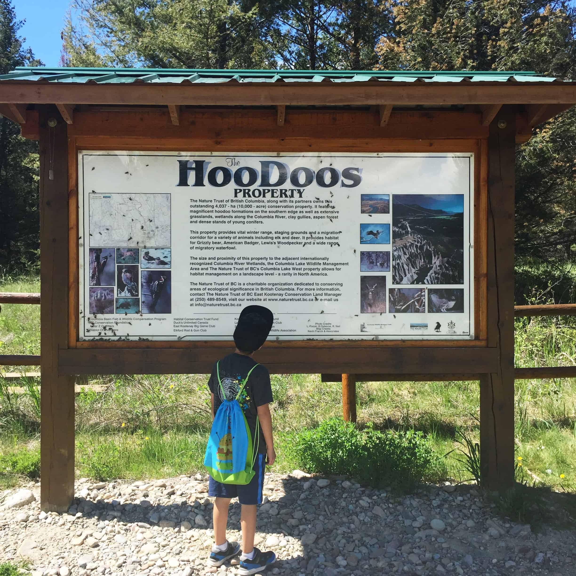 Hike: The Hoodoo Trail At Fairmont Hot Springs, BC