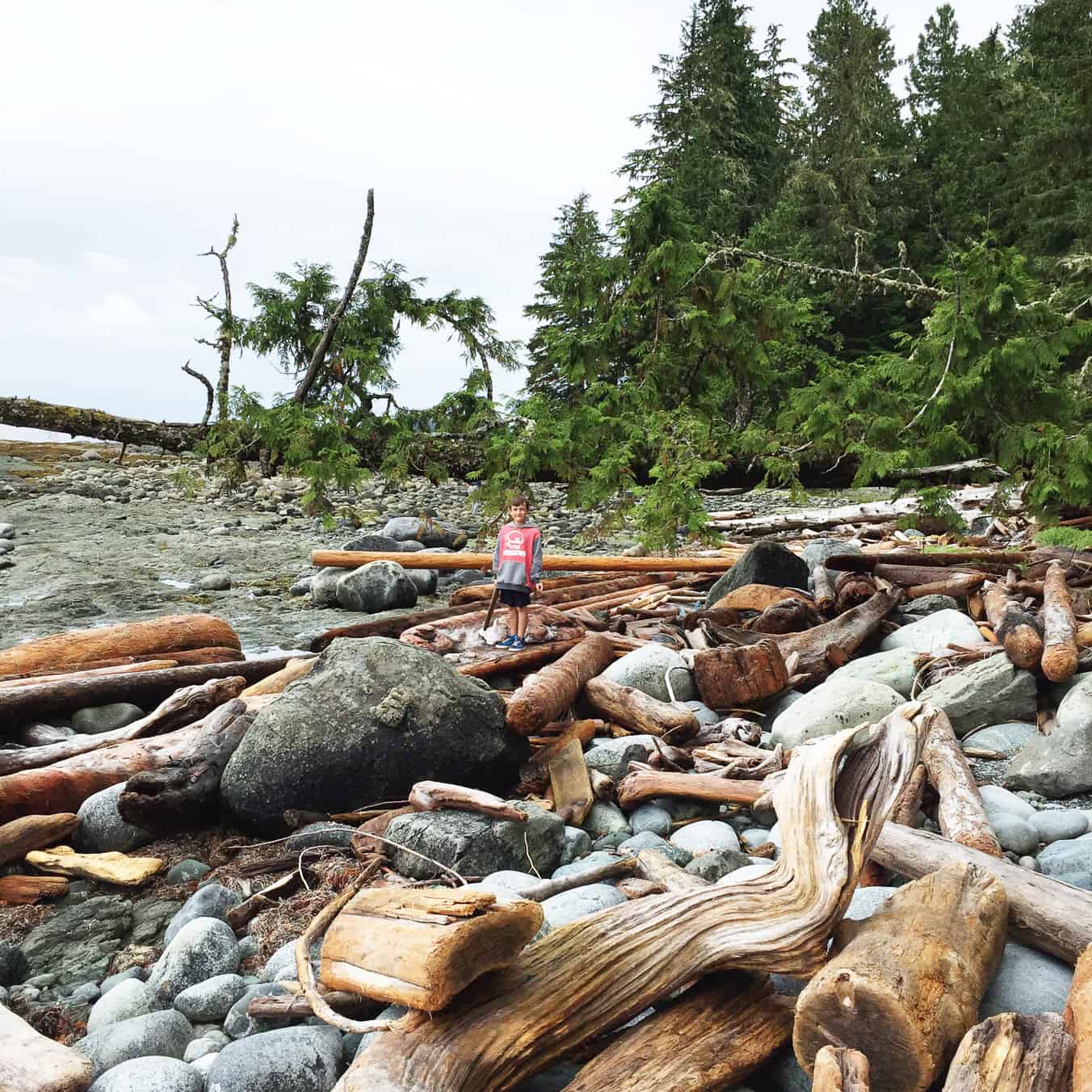 Mussel Beach Near Ucluelet