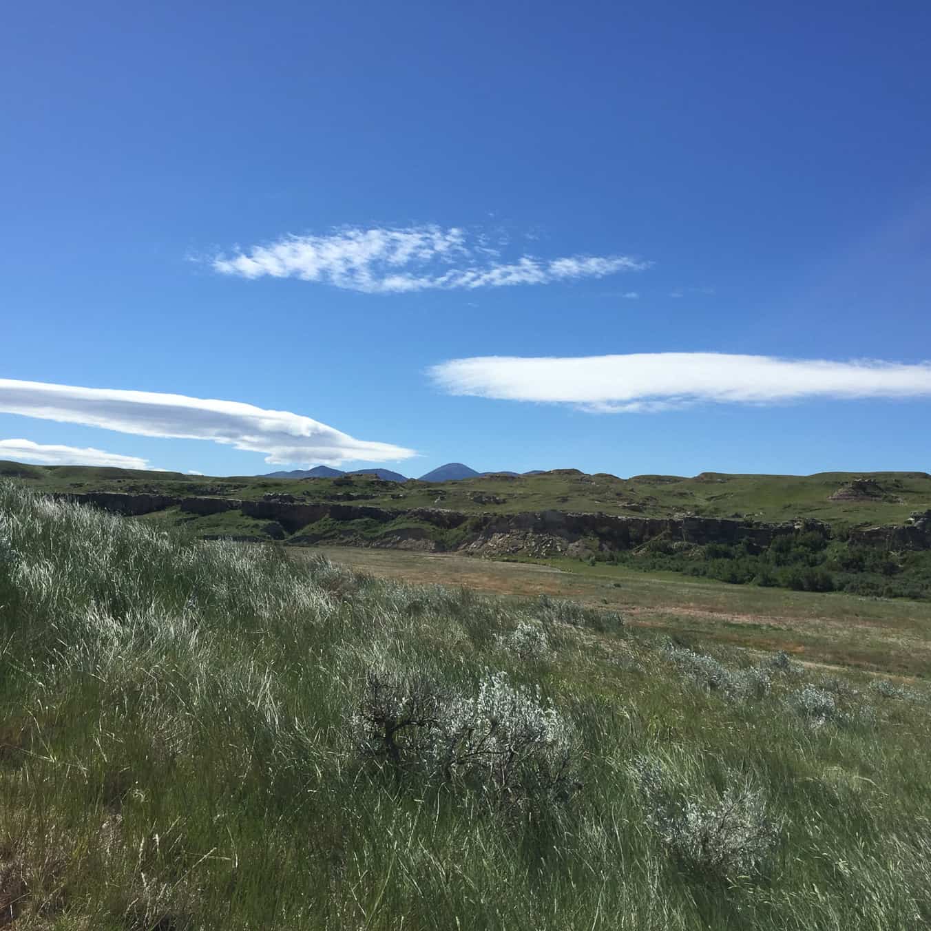 Hike: Rock Art Tour in Writing-on-Stone Provincial Park