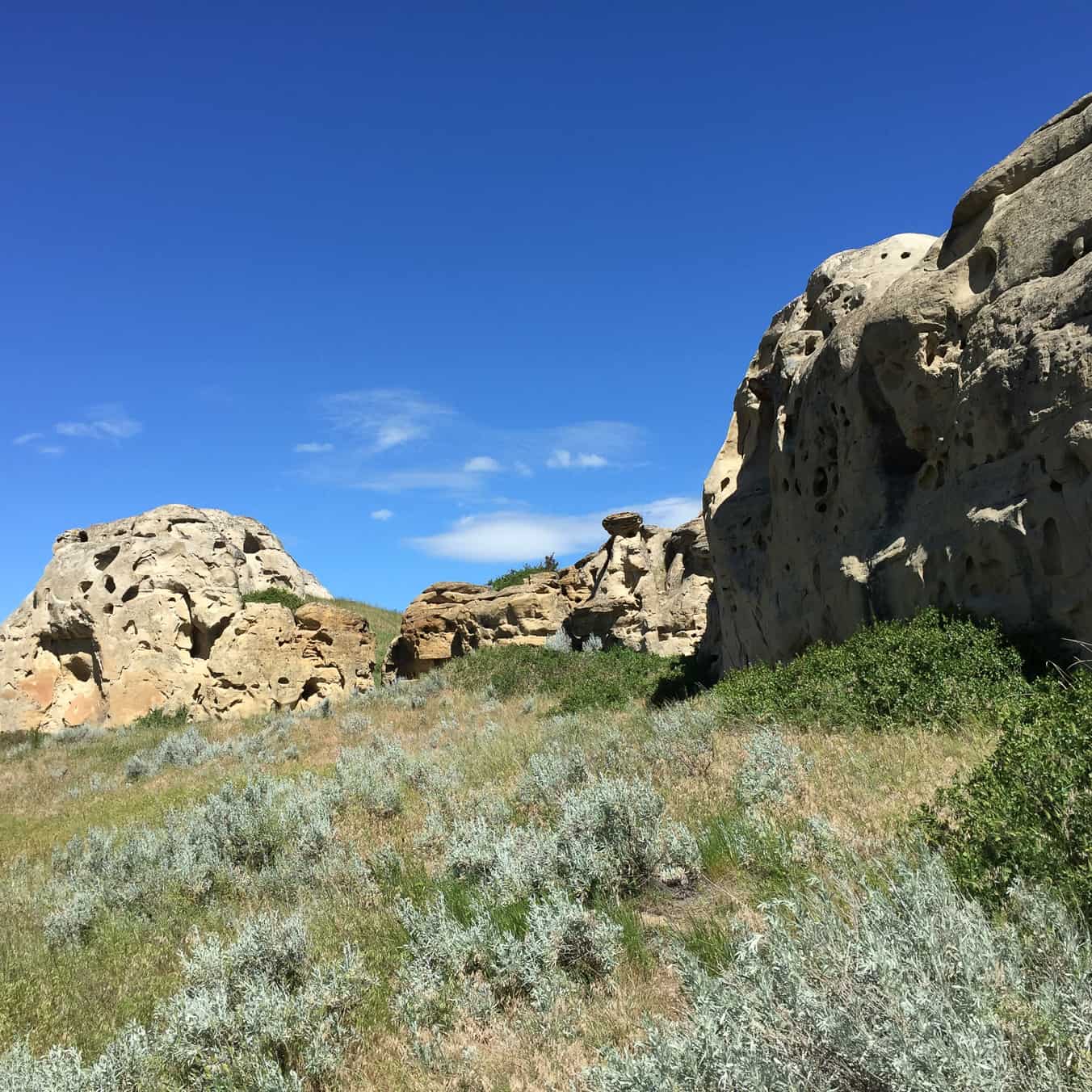 Hike: Rock Art Tour in Writing-on-Stone Provincial Park