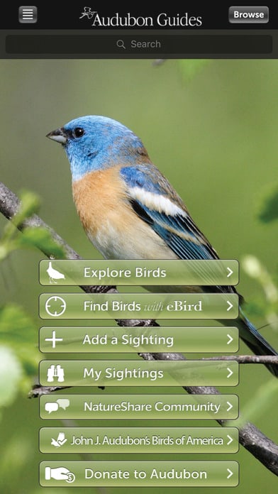 Audubon Bird Guide: North America