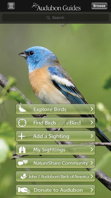 Audubon Bird Guide: North America