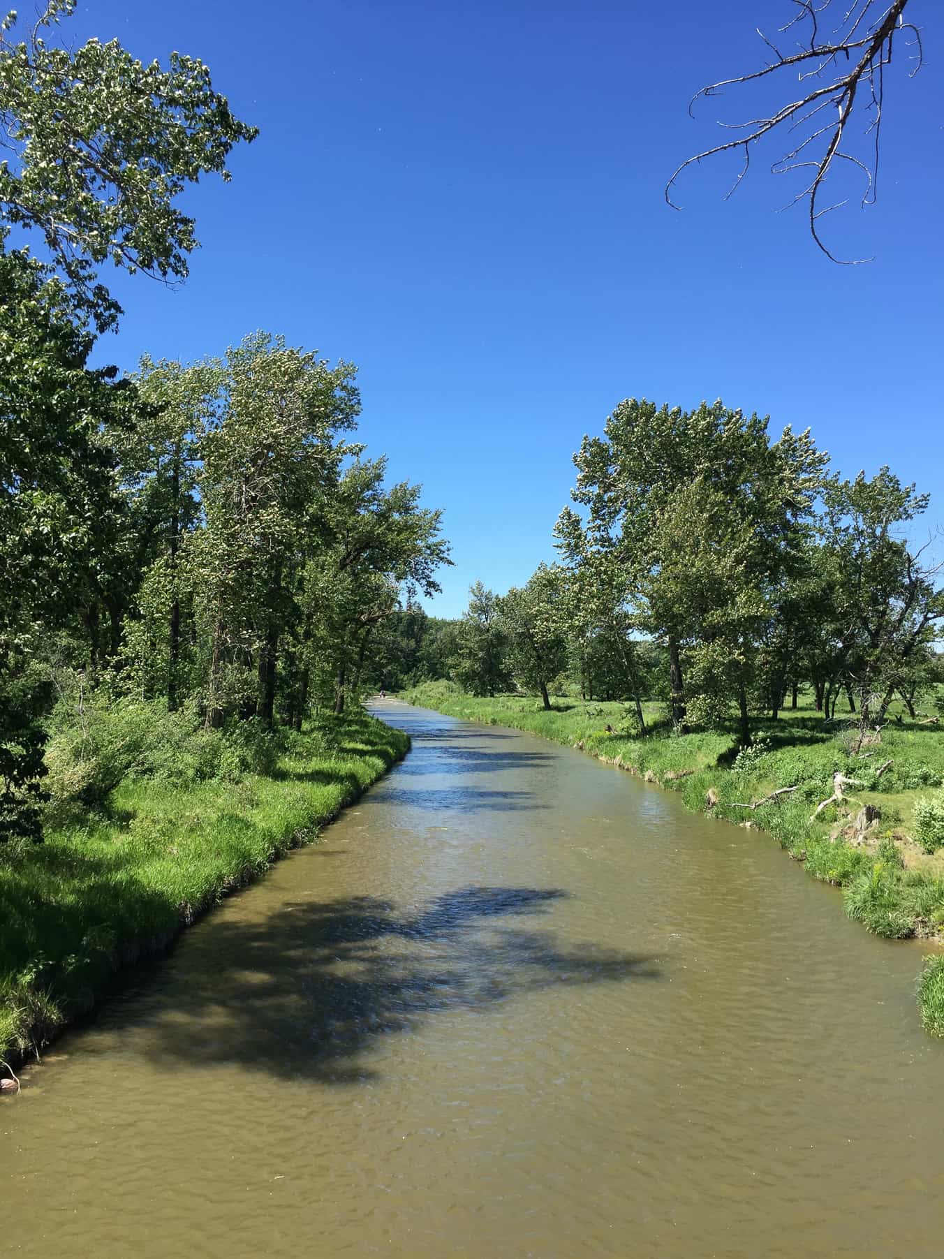 7 Reasons to Visit Fish Creek This Summer!
