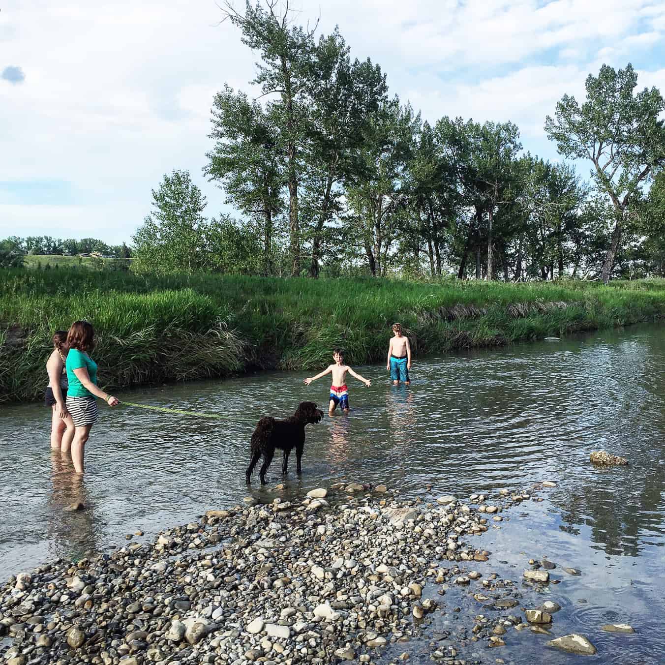 7 Reasons to Visit Fish Creek This Summer!