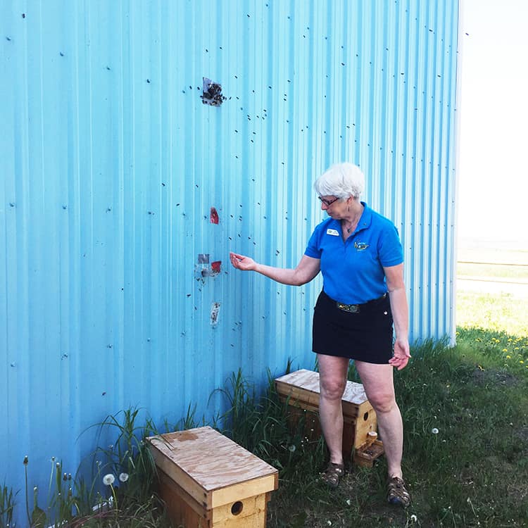 Visit and Picnic: Chinook Honey Farm