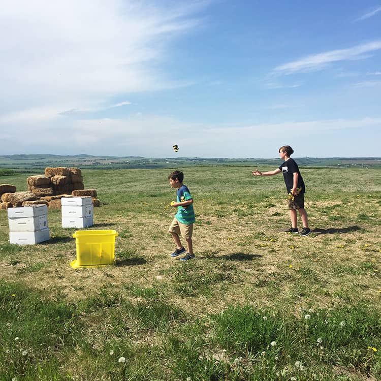 Visit and Picnic: Chinook Honey Farm