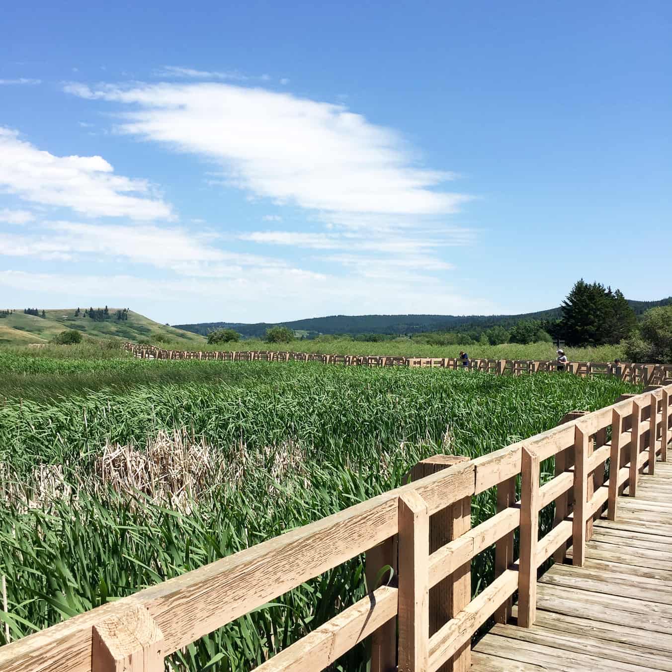 Firerock Campground in Cypress Hills