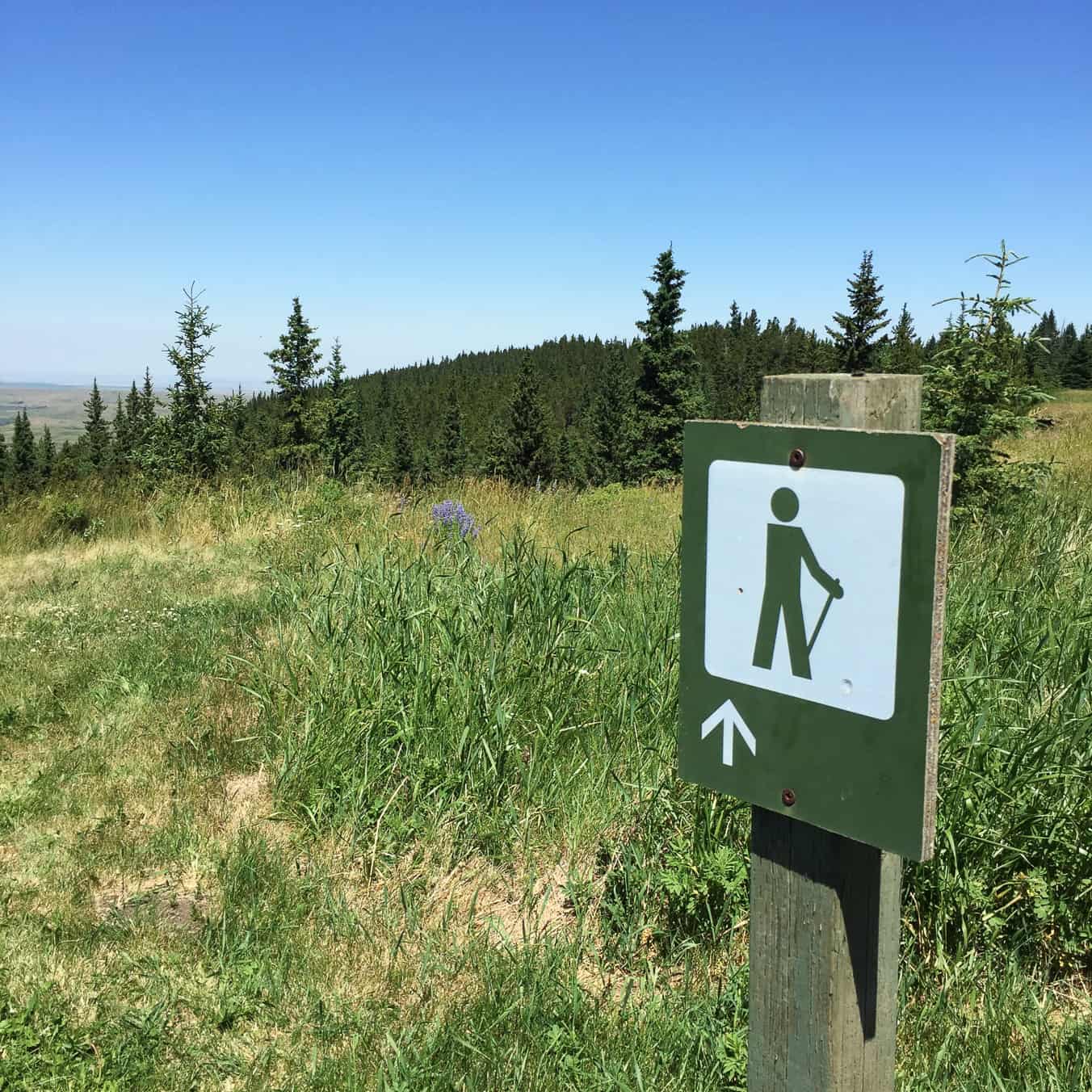  Firerock Campground in Cypress Hills