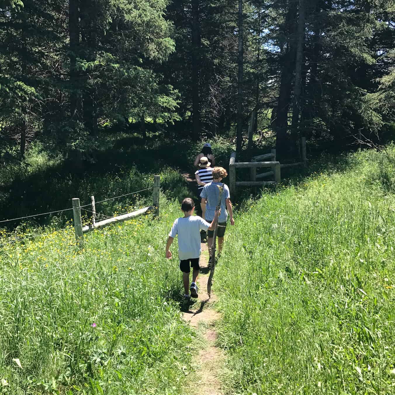  Firerock Campground in Cypress Hills