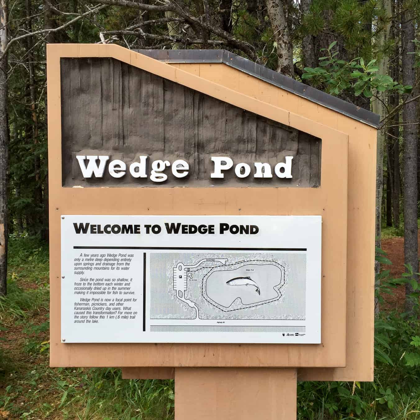 Wedge Pond