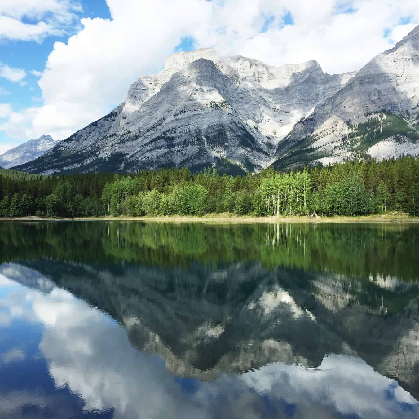 Hike: Wedge Pond