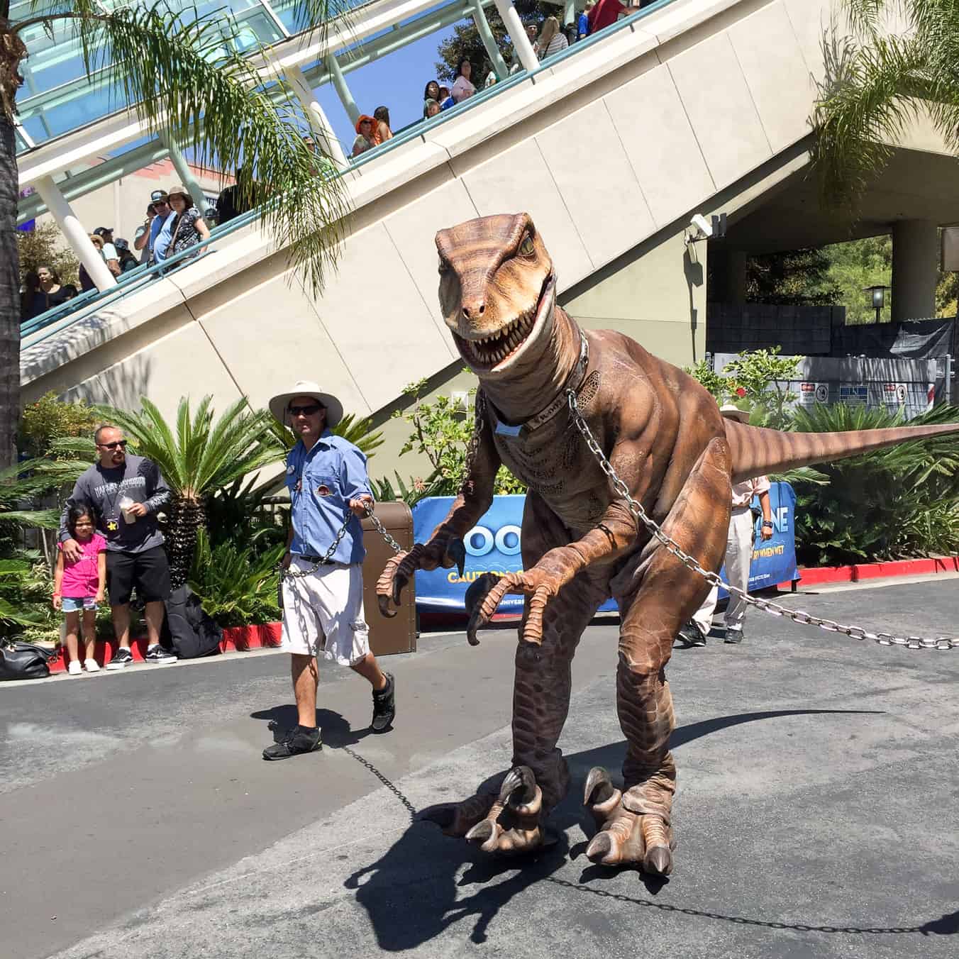 11 Tips For Visiting Universal Studios Hollywood