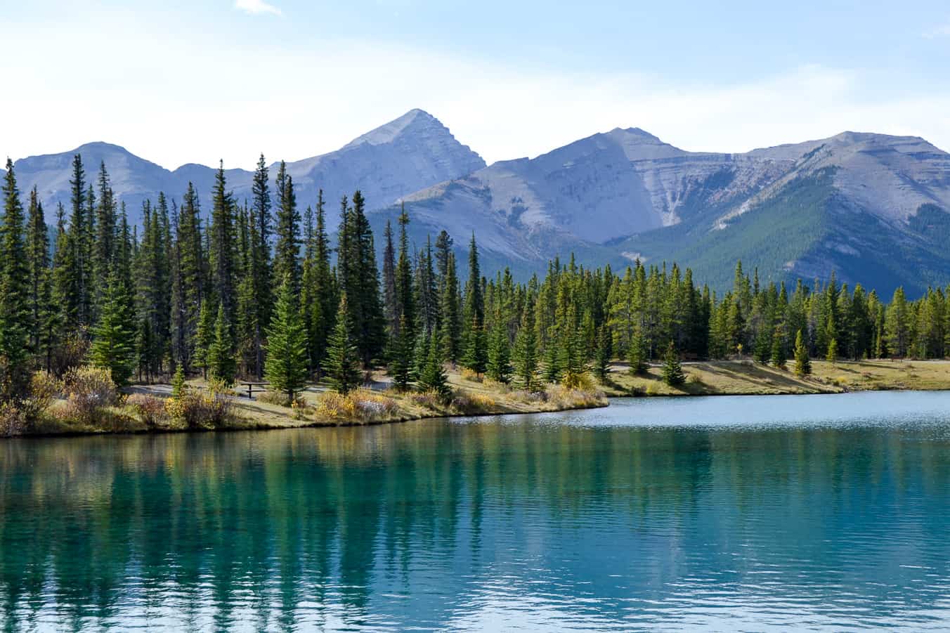 3 Fall Walks in Kananaskis to Do With Your Family: Forgetmenot Pond
