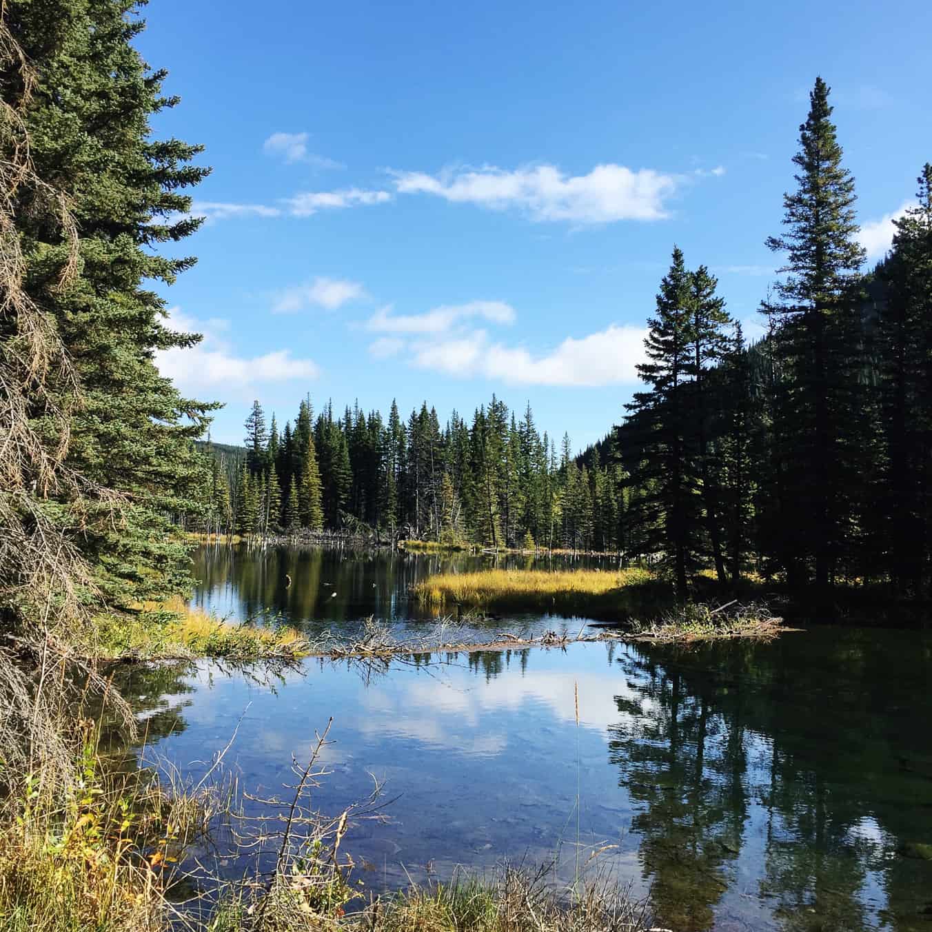 3 Fall Walks in Kananaskis to Do With Your Family: Beaver Flat Trail