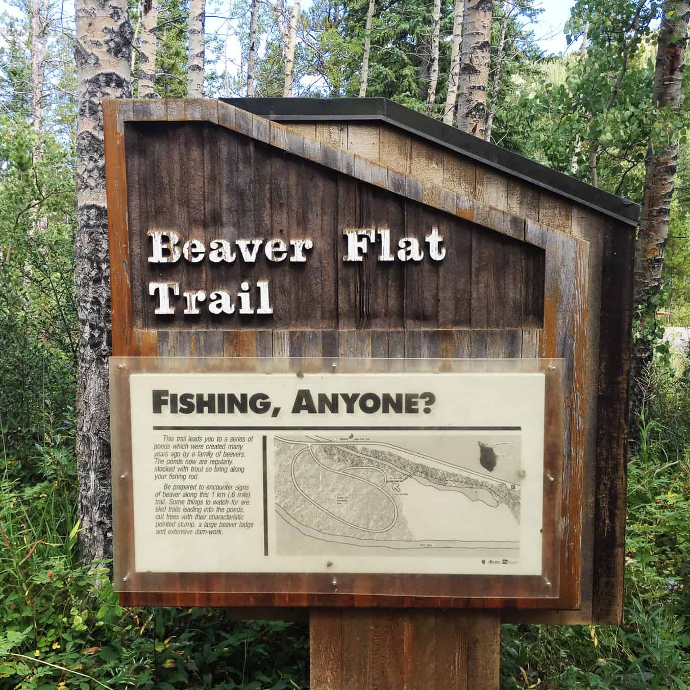 3 Fall Walks in Kananaskis to Do With Your Family: Beaver Flat Trail