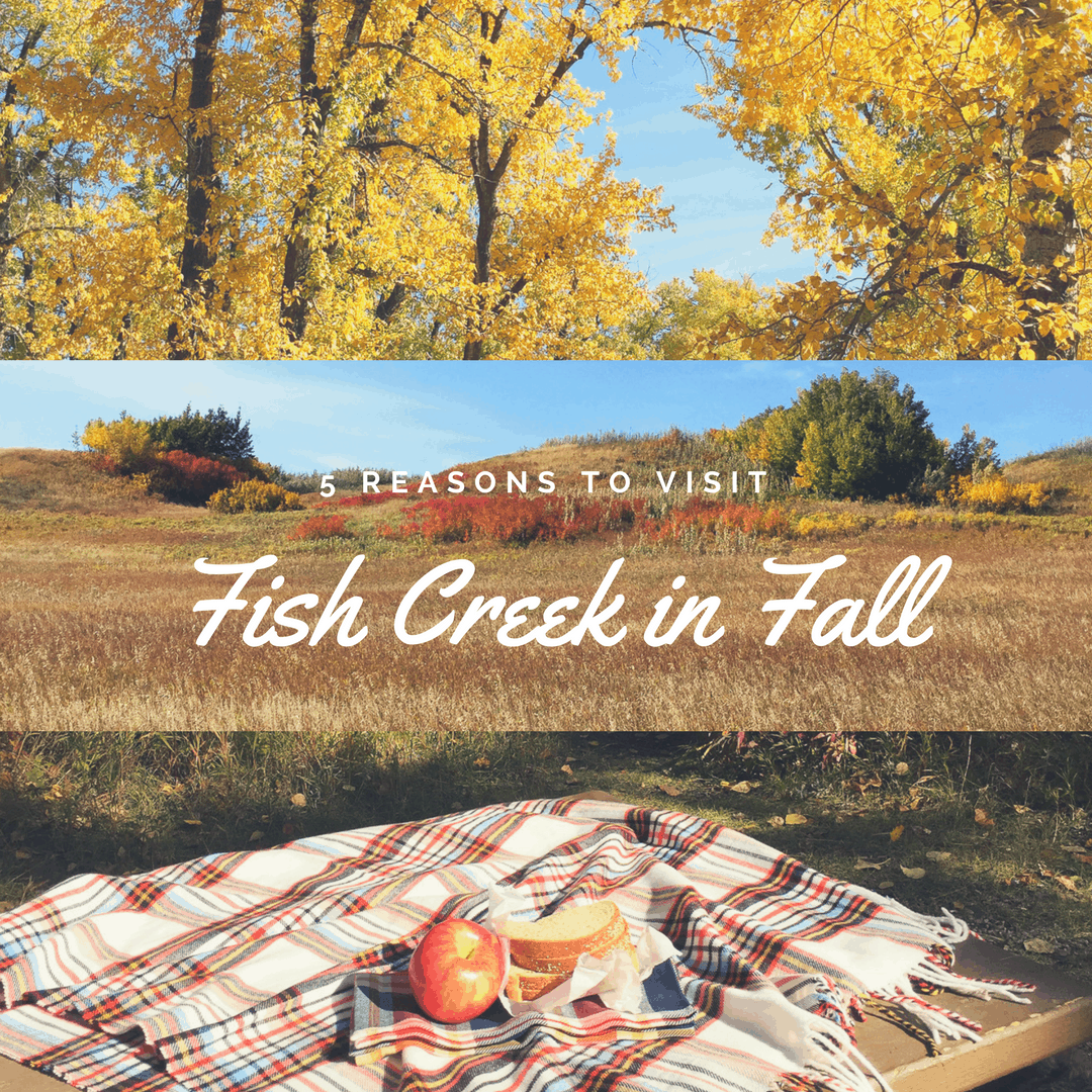 5 Reasons to Visit Fish Creek Provincial Park in Fall