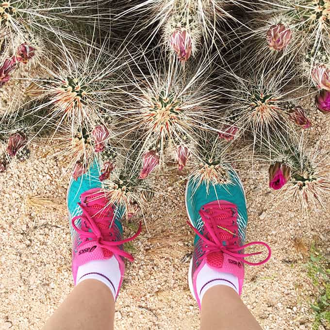 Tips for Hiking with Kids in the Desert