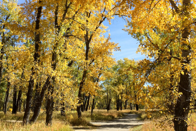 5 Reasons to Visit Fish Creek Provincial Park in Fall