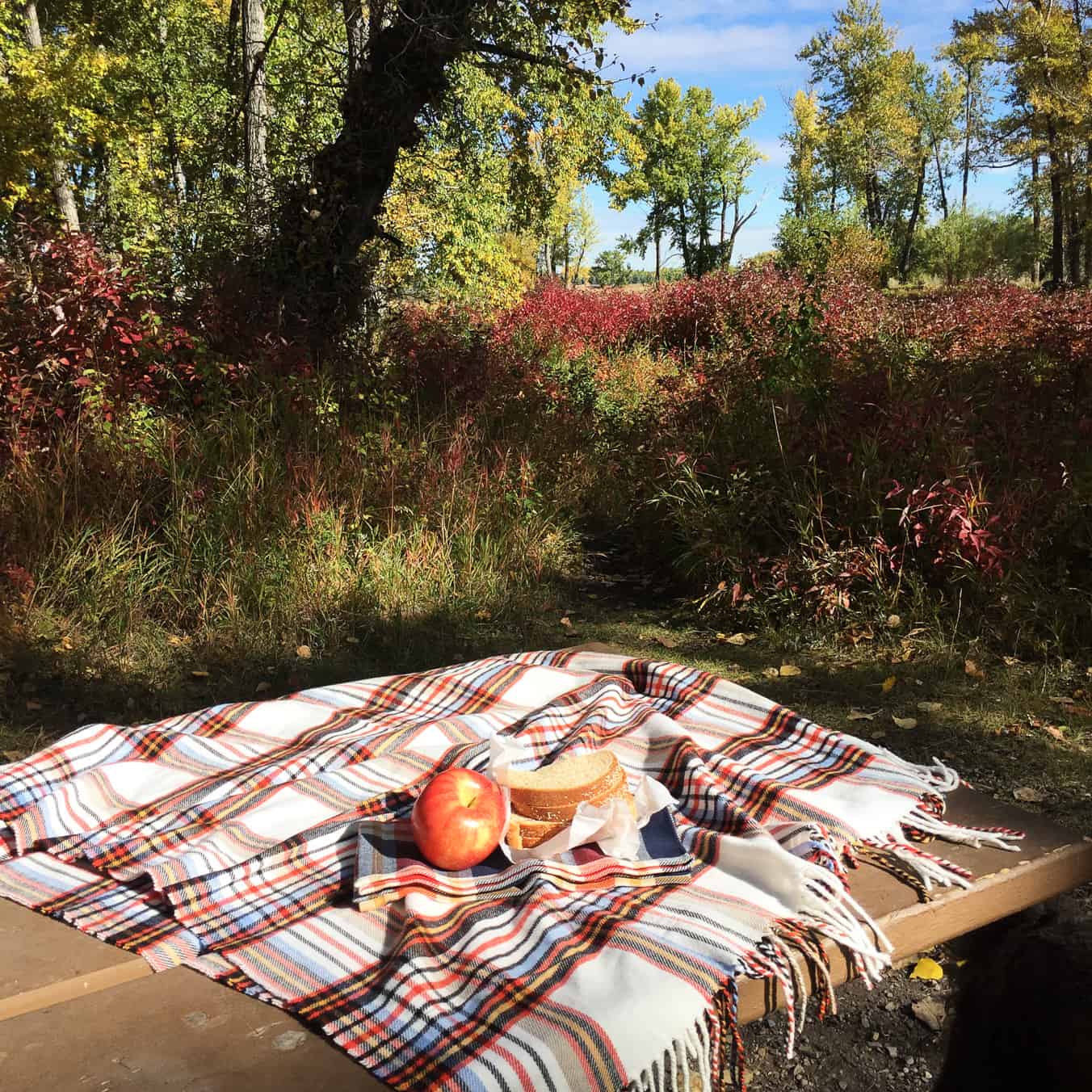 5 Reasons to Visit Fish Creek Provincial Park in Fall