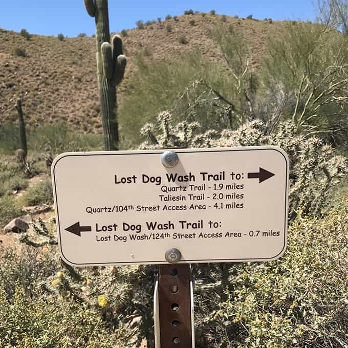 McDowell Sonoran Preserve Trails: Lost Dog Wash Trail