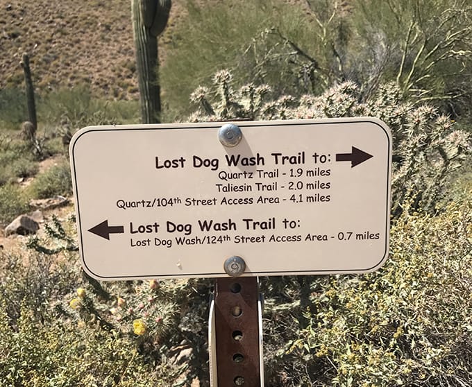 Hike: McDowell Sonoran Preserve Trails: Lost Dog Wash Trail