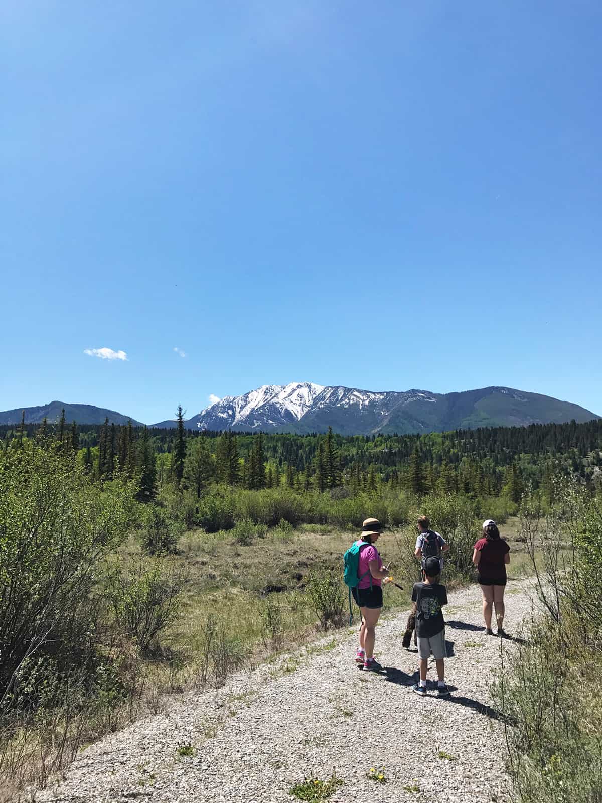 Source of the Columbia Trail, BC