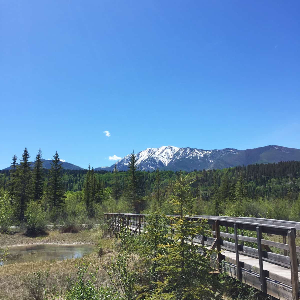 Hike:  Source of the Columbia Trail, BC