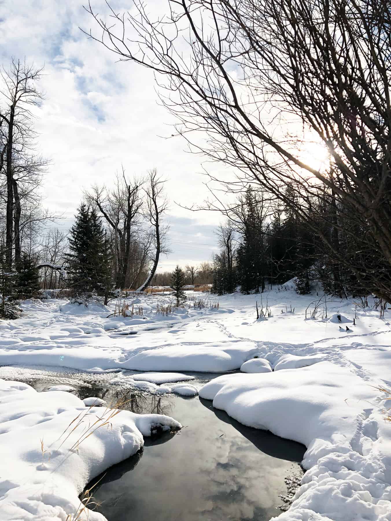 What to do in Fish Creek Park in Winter