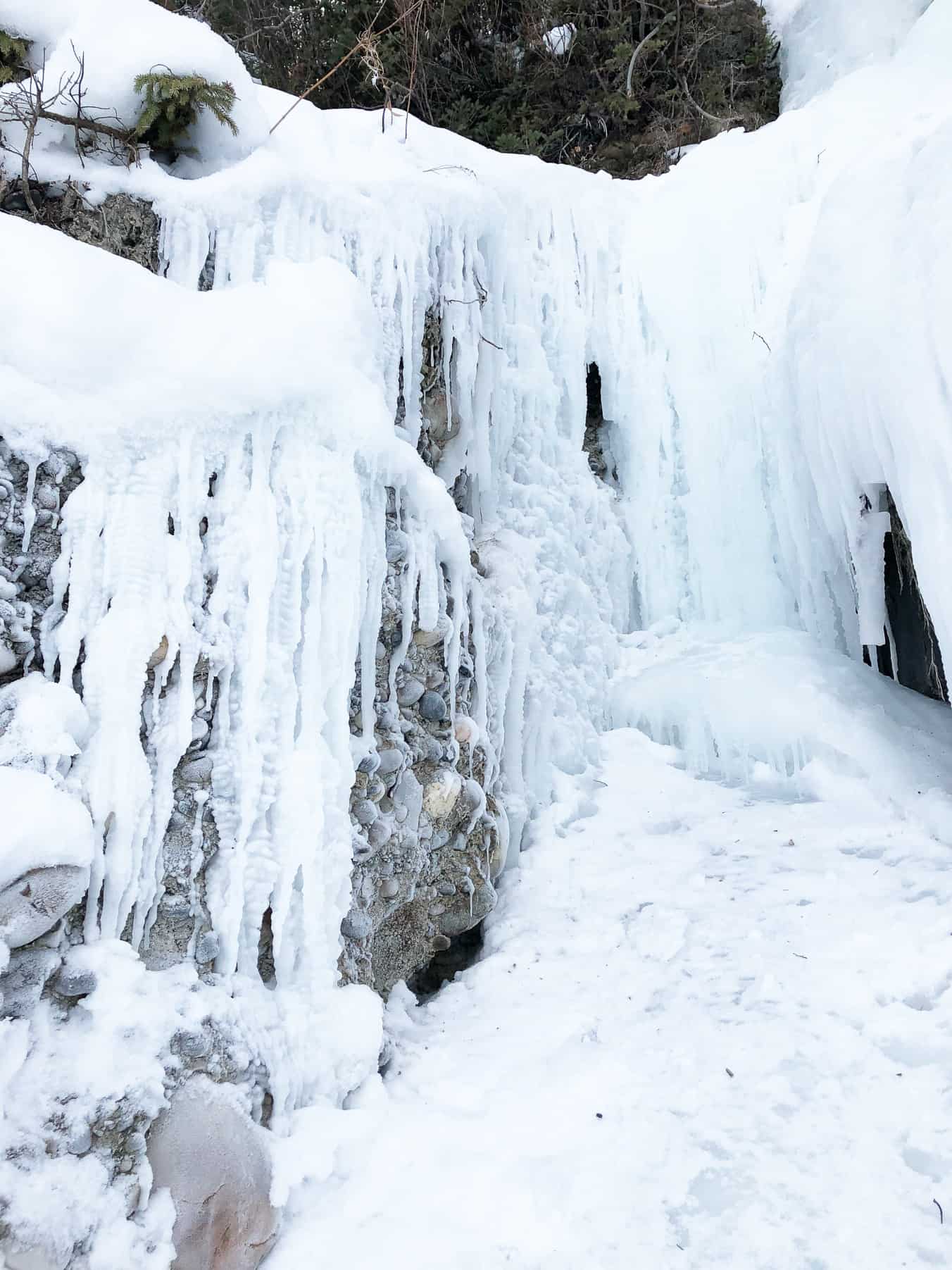 What to do in Fish Creek Park in Winter