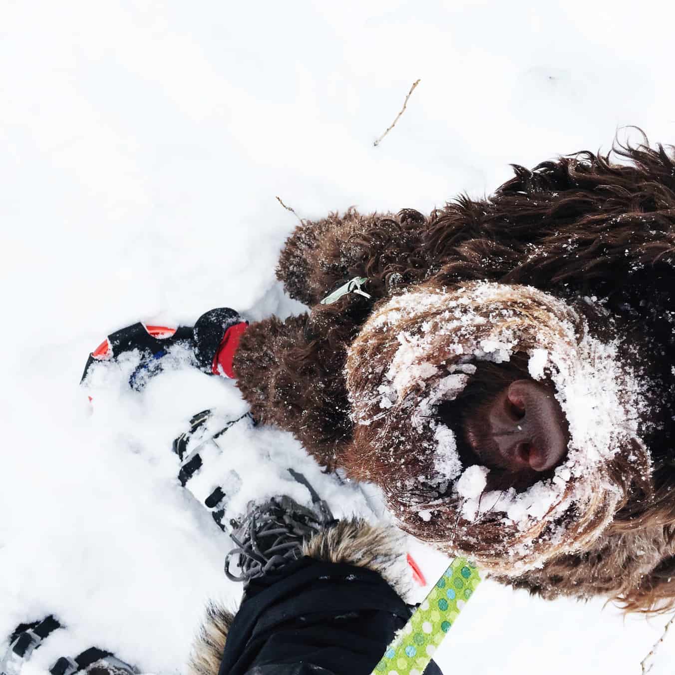 Snowshoe Checklist for Easy Treks