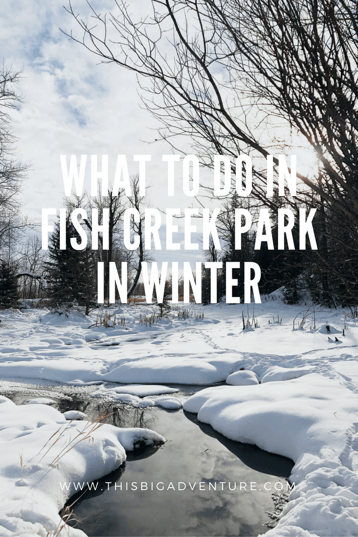 What to do in Fish Creek Provincial Park in Winter