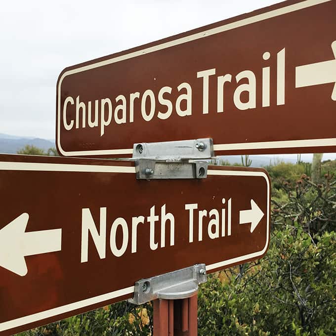Hike: McDowell Mountain Regional Park, The North Trail Self Guided Tour
