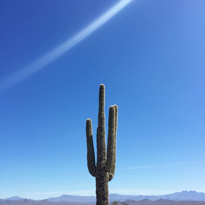 McDowell Mountain Regional Park, The North Trail Self Guided Tour