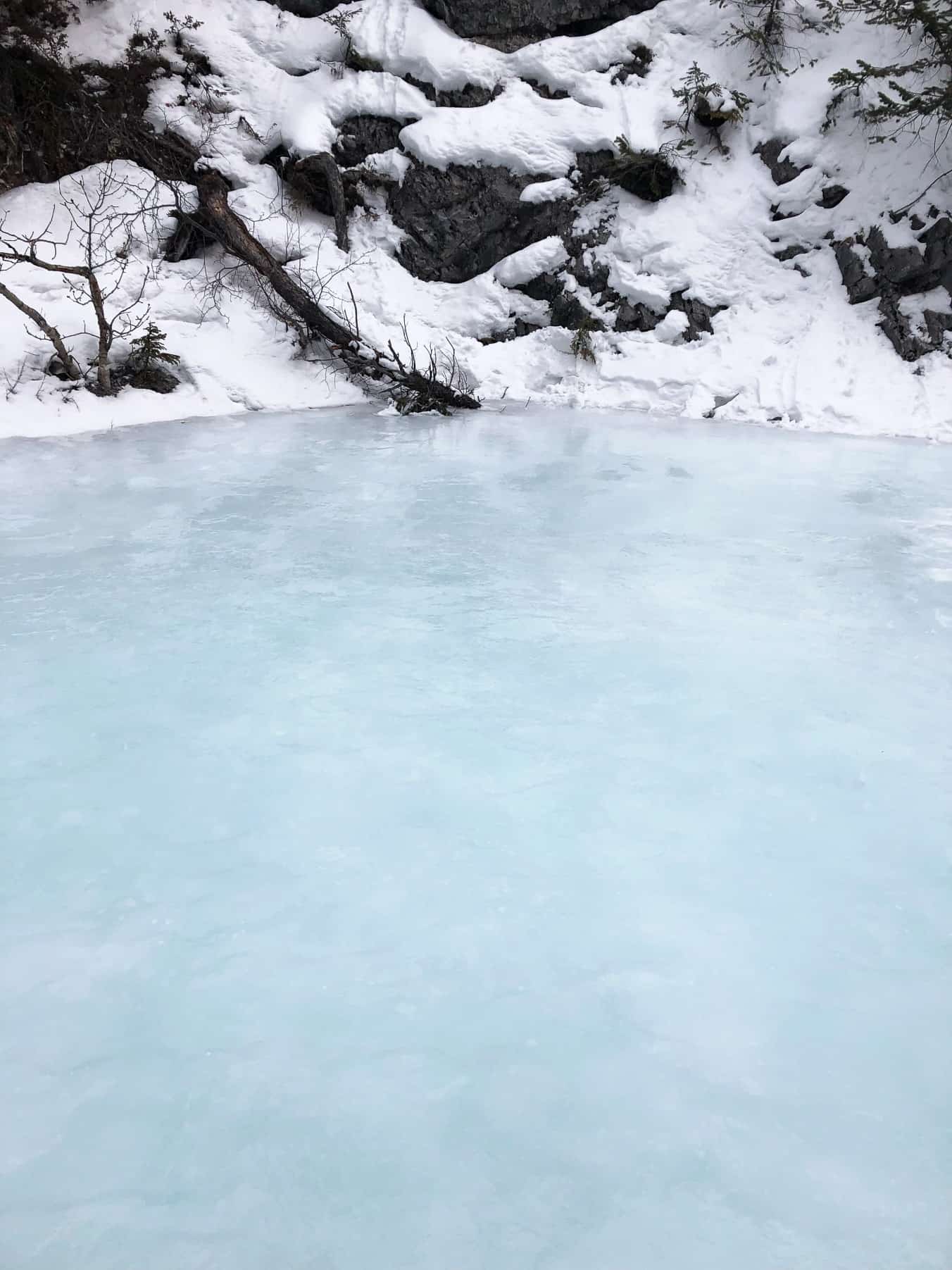 Grotto Canyon Ice Walk